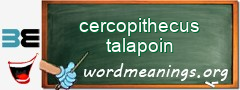 WordMeaning blackboard for cercopithecus talapoin